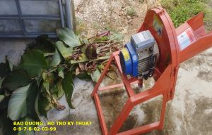 Máy băm chuối mịn nguyên cây  thái lát đa năng . máy lắp sẵn động cơ 15kw