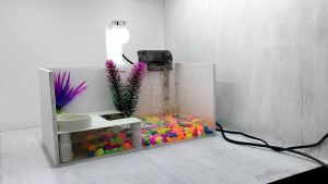 Aquarium Kura-Kura Terlaris: Ukuran 40x18x18 & Set Lengkap