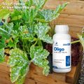 Chế phẩm sinh học Oligo Dế Mèn - Giúp lưu dẫn mạnh, thấm sâu 250ml/500ml. 