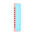 [ammoon]10 Holes Harmonica Diatonic Blues Harp Mouth Organ Harmonica. 