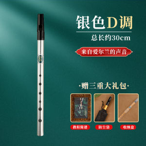 Ireland Whistle Flute Recorder 6 Hole Beginner Adult Student Professional Grade Instrument爱尔兰哨笛吹笛直竖笛子6孔初学者成人学生专业级乐器