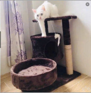 Nhà cây cho mèo - cattree nhà mèo 3 tầng có trụ cào móng cho mèo giúp mèo giảm được những nguy cơ mắc các bệnh béo phì