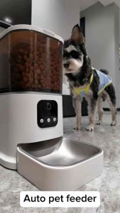 Smart APP Remote Control Pet Feeder 6L | Automatic Food Dispenser with Camera & WiFi Recording for Cats & Dogs