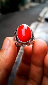 Batu Akik Red Coral Marjan Desain Terbaru Super Mewah Harga