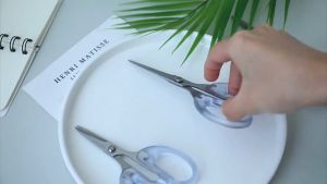 Stainless Steel Scissors Transparent Hand Paper Cuttings Tools Hand Craft School Supplies
