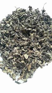 CINCAU HITAM DAUN CACAH CAMPUR BATANG GRADE A 1KG