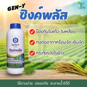 🌿 เจนวาย ซิงค์พลัส 1L | สังกะสีเข้มข้น 16% สูตรน้ำใส 💧 ดูดซึมไว ช่วยลดอาการใบแก้ว❗️ ใบเหลือง❗️ ทำใบเขียวสมบูรณ์ พร้อมเสริมความแข็งแรง 💪 ทนทานต่ออากาศร้อนจัด🌞และเย็นจัด❄️