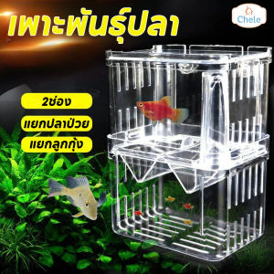 Chele  ตู้แยกปลาคลอดลูก กล่องแยกปลา 2 ช่อง สีใส ขนาด S/M สำหรับแยกปลาเล็ก ปลาป่วย ปลากัด ใช้กับตู้ปลาทุกชนิด