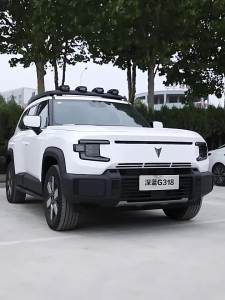 For CHANGAN Deepal G318 2025 2026 Floor Mats Car Catpet Leather Waterproof Trunk Mat Black Full Covers Accessories