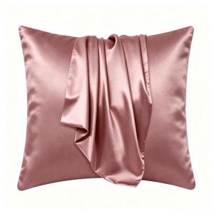 (Buy 1 Take 1) Throw Pillow Case Shiny and Soft Satin Silk Fabric with Zipper 18x18 Inches