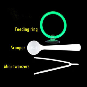 3 IN 1 Feeding ring kit for fish food Feeding set floater for aquarium fish