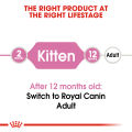 Royal Canin Kitten (10kg) Dry Cat Food - Feline Health Nutrition. 