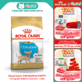 Royal Canin CHIHUAHUA PUPPY อาหารลูกสุนัข พันธุ์ชิวาว่า (แบบเม็ด) ช่วงหย่านม - 8 เดือน. 