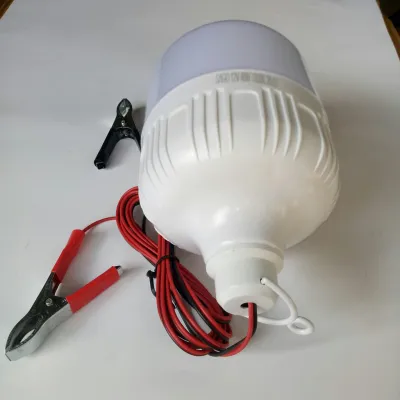 Bóng Đèn LED 12V 100W Kẹp Bình Dùng Bình Ắc Quy TD-2060-12V Dimmable Chỉnh Độ Sáng