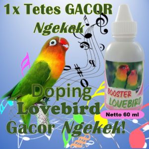 Vitamin lovebird ngekek panjang / Vitamin lovebird gacor konslet / Vitamin lovebird ternak / Vitamin lovebird gacor / Vitamin lovebird konslet / Vitamin lovebird spontan / Vitamin lovebird fighter / Vitamin lovebird untuk lovebird / Booster Lovebird 60 ml