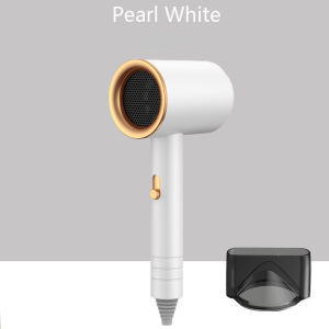 Pengering Rambut Profesional 800W Daya Tinggi