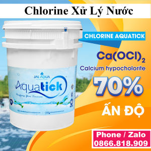 1 Kg Clo Ấn Độ - Chlorine 70% Xử Lý Nước Hồ Bơi