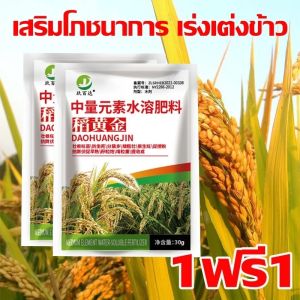 🌾 ฮอร์โมนพืช สำหรับข้าว 🌾 ช่วงข้าวท้อง ออกรวง เพิ่มน้ำหนัก ข้าวออกสุดรวง ออกพร้อมกัน ฮอร์โมนข้าว ลดการหลุดร่วง อวบทุกเม็