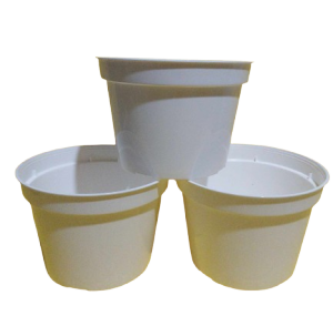 3 pcs. / set – Premium Quality White Plastic Pot (Ht. 4.5 Inches Opening 6 inches) [Stock Code: No.6 ] [BUY 1 TAKE FREE 1 Pc. 2 to 3 leaves Philodendron or Pothos cutting randomly picked by Seller]