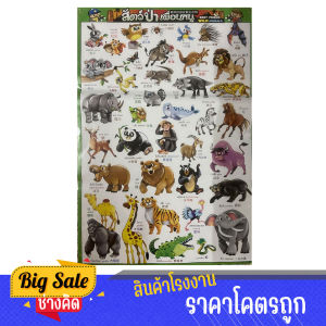 changkid โปสเตอร์เพื่อการเรียนรู้ โปสเตอร์เพื่อการศึกษา  สัตว์ป่าเพื่อนหนู การถ่ายทอดเรื่องราวด้วยรูปภาพ พัฒนาความจำได้ดี