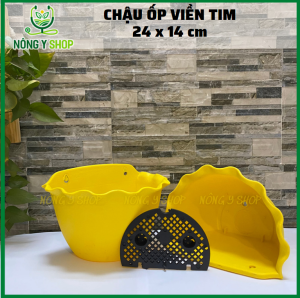 Chậu ốp tường bèo size 24-14 chậu ốp tường viền tim ốp tường trồng cây chậu treo rào chậu trồng cây kiểng hoa