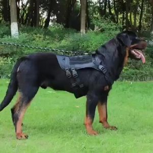 [Hot-Selling] 1 Piece Heavy Big Dog Adjustable Tactical Harness Vest with Hand Dog Harness