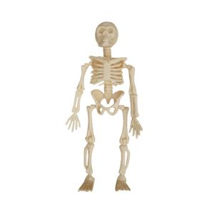 Halloween Haunted House KTV Bar scene decoration props prank props scary skeleton