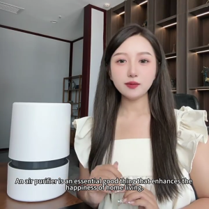 ตัวฟอกอากาศฟอกไอออนประจุลบสำหรับห้องนอนในอาคารเครื่องฟอกอากาศในครัวเรือนความจุมากความชื้น