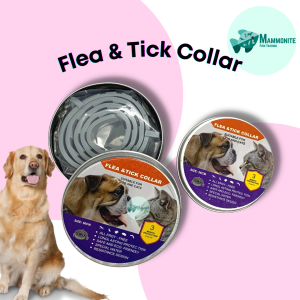 Pet Dog Cat Anti Flea and Tick Collar Safe 56cm 36cm DLC155
