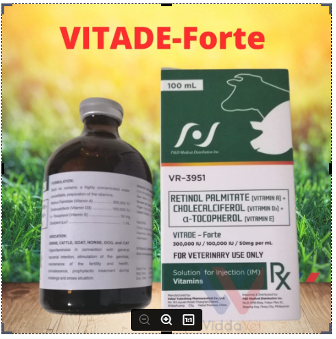 [1Bottle] VITADE - Forte 100 ML / Solution for I.njection / Multi ...