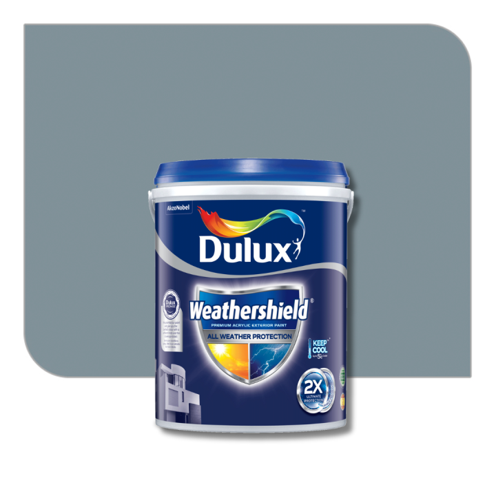Dulux Weathershield Exterior Wall Paint (Deep Colours) Lazada