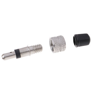 Eixiu 10pcs จักรยานล้อล้อวาล์วยางแกนเปลี่ยนซ่อม