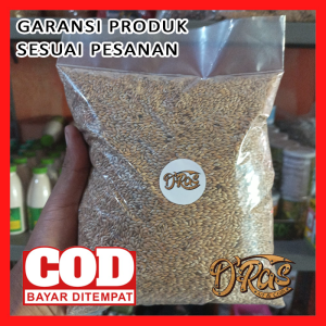 Kenari seed - canary seed - pakan burung kiloan - makanan burung