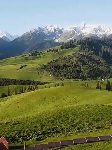 澳洲老鼠驱赶神器发动机仓汽车用防鼠克星灭鼠家用室内驱鼠克星