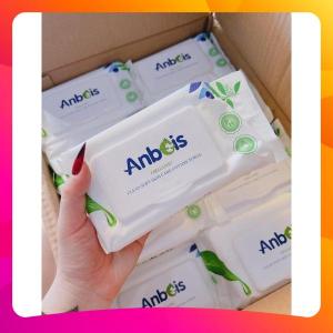 Khăn ướt Anbeis Không mùi Hộp 300g - Tinh chất Trà xanh
