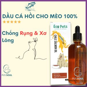 Dầu Cá Cho Mèo Chống Rụng Lông - 100% Tinh Dầu Cá Hồi Chính Hãng Kèm Omega 3 DHA Cho Mèo Con Lanh Lợi Hơn - PusSoul