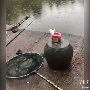 Mồi câu trộn sẵn mùi cực thu hút cá(chéprôtrắmtrôi...). Có 2 màu:đỏ và vàng