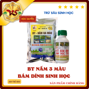 Bộ đôi trừ sâu: BT Nấm 3 Màu gói 1kg+ Bám Dính Sinh Học chai 500ml: chế phẩm trừ sâu an toàn: rệp sáp rầy nâu sâu ăn lá sâu xanh da láng...