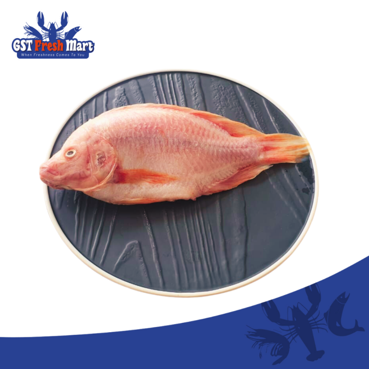 FROZEN RED TILAPIA FISH CLEANED 冷冻(清肚)红罗非鱼 - GST FRESH MART | Lazada