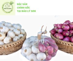 COMBO HÀNH TỎI LÝ SƠN SUNI ĐẶC SẢN LÝ SƠN CHÍNH GỐC