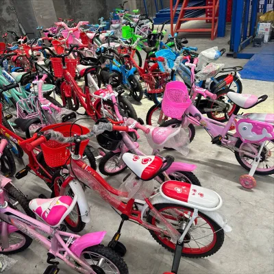 Sample childrens bicycle loss-making special price welfare model 2-12 years old