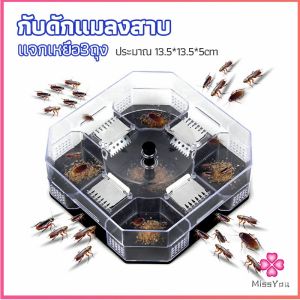 Missyou  ที่ดักแมลงสาบ ที่ดักแมลงสาบ กล่องดักแมลงสาบ cockroach trap