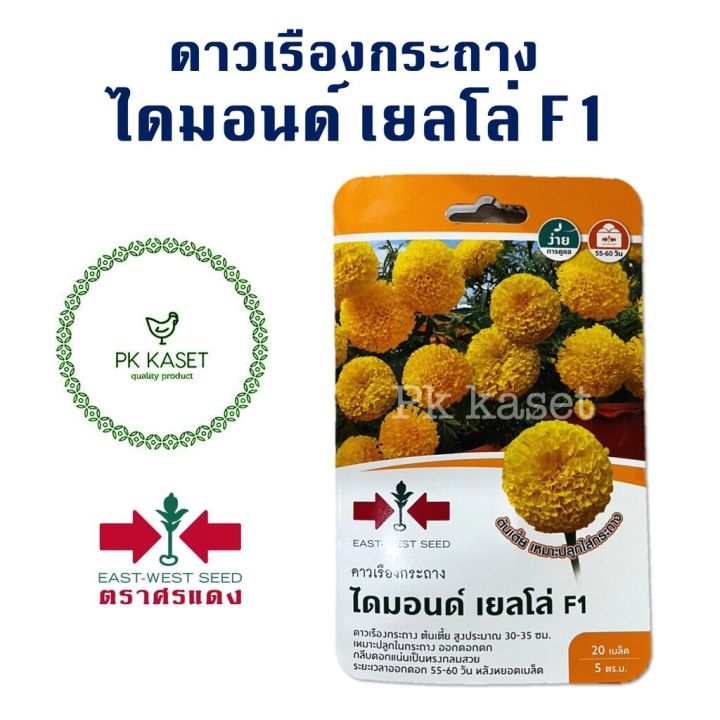 เมล็ดพันธุ์ดาวเรืองกระถาง ไดมอนด์ เยลโล่ F1 ตราศรแดง