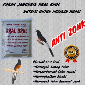 PAKAN JANGKRIK BRAL BRUL ASUPAN NUTRISI LENGKAP UNTUK MURAI PETERNAK BERAT 500 GRAM