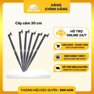 Combo Que cắm 30 cm + cây đục lỗ