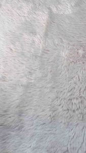 Infopress (อินโฟเพรส) หนังสือ Magic Short Note วิทยาศาสตร์ ป.5 มั่นใจเต็ม 100 - 74886 (ขอออกบิลเบิกโรงเรียนได้)