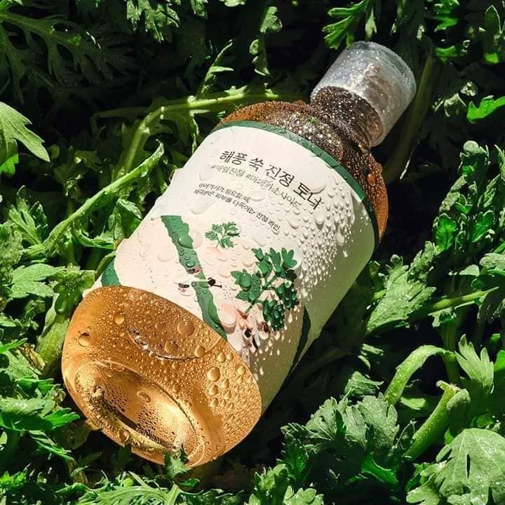 NƯỚC HOA HỒNG TINH CHẤT NGẢI CỨU ROUNDLAB MUGWORT CALMING 300ML - SẢN ...