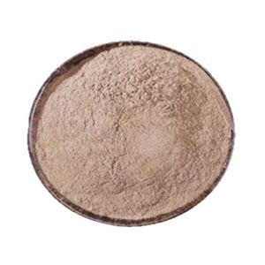 Mume Fruit Powder Food‑Grade Pulbos mula sa sariwang prutas Water‑Soluble For Drink Baking