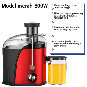 CHIC pembuat jus Pembuat Jus Rumah Multifungsi Portabel 800W Blender Buah-COD