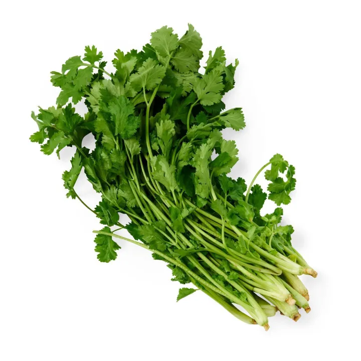 Chinese%20Parsley%20Coriander%20Fresh%20Herbs%20-%20Image%202